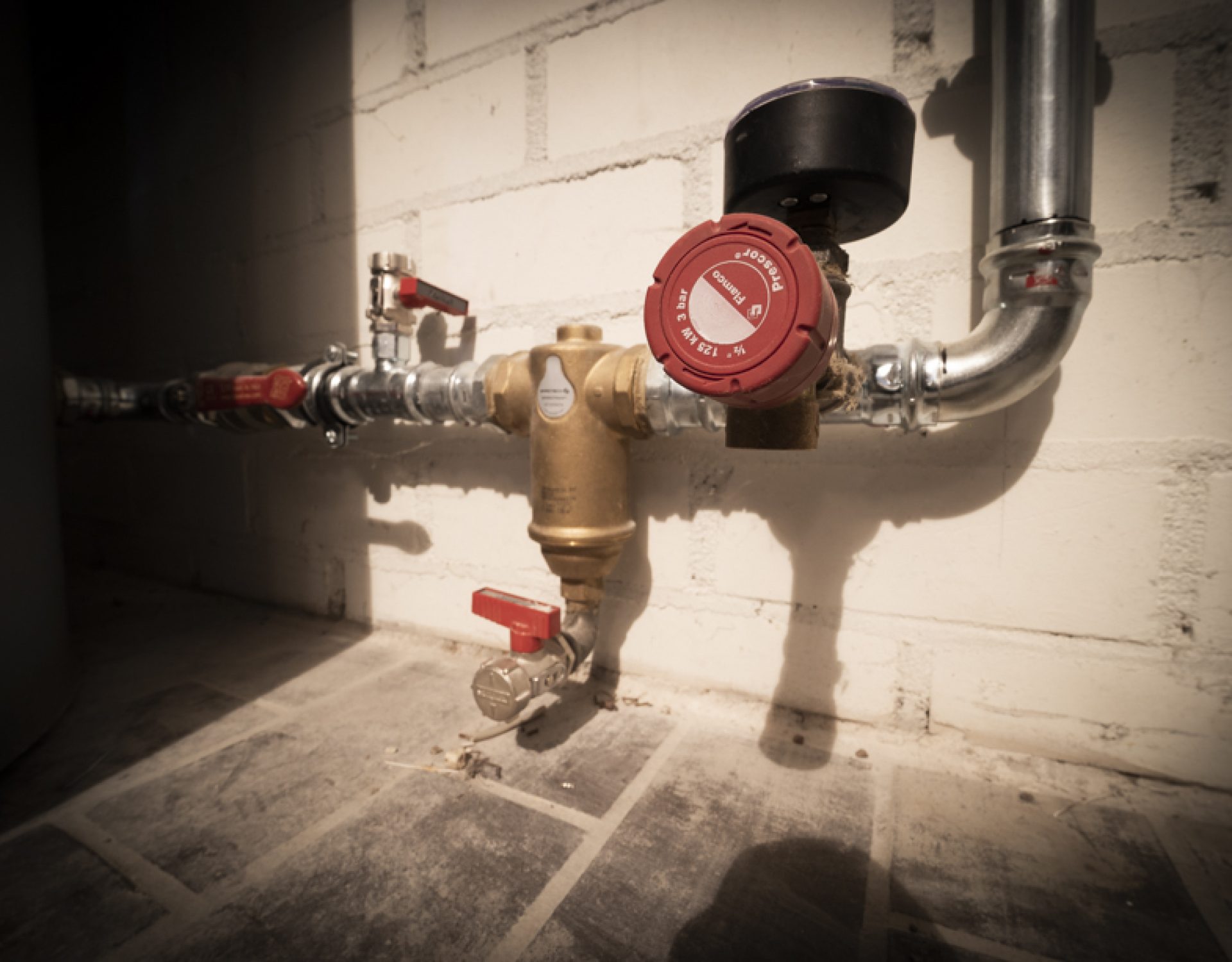 LowRes Ralph Dings-15