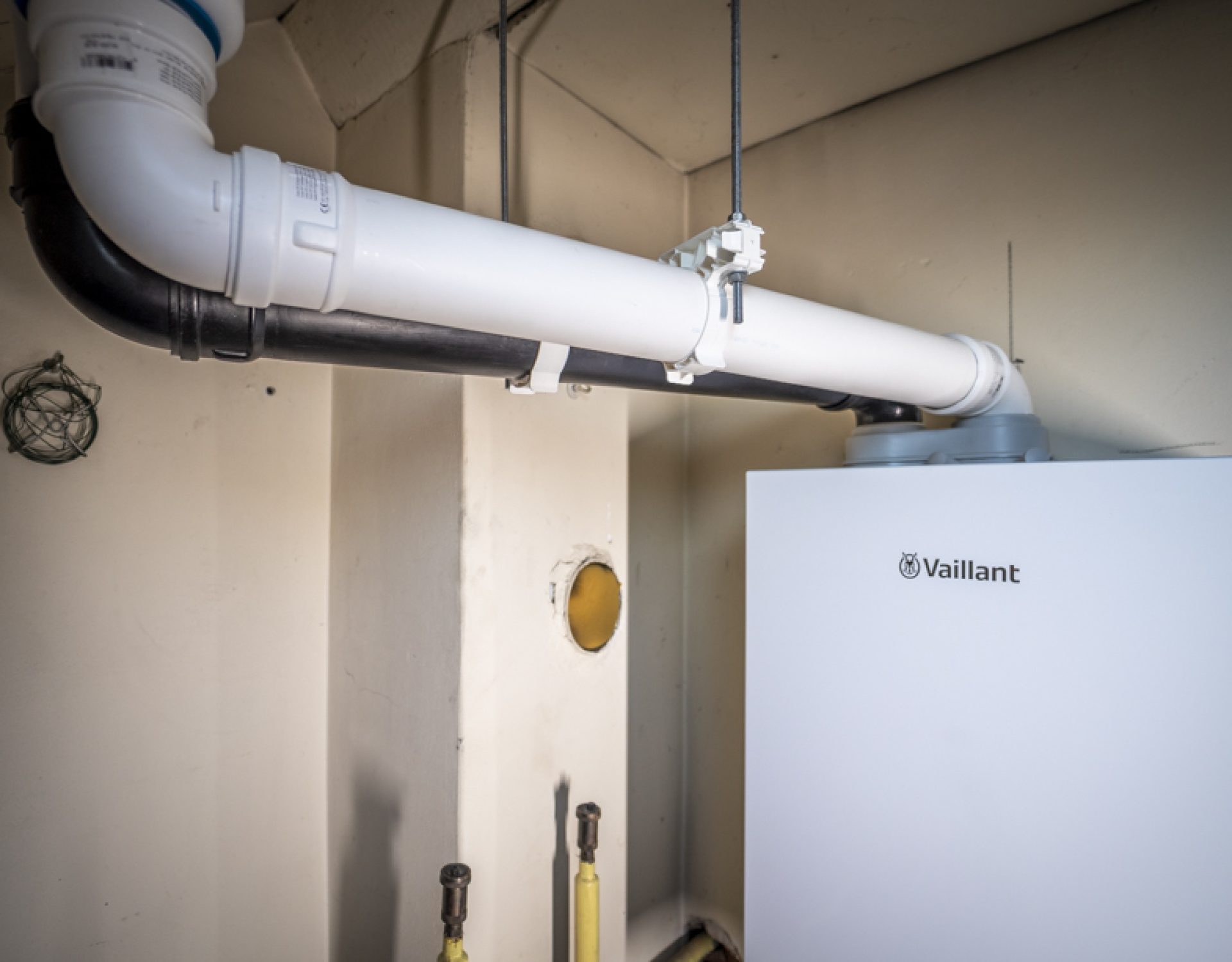 LowRes Ralph Dings-26