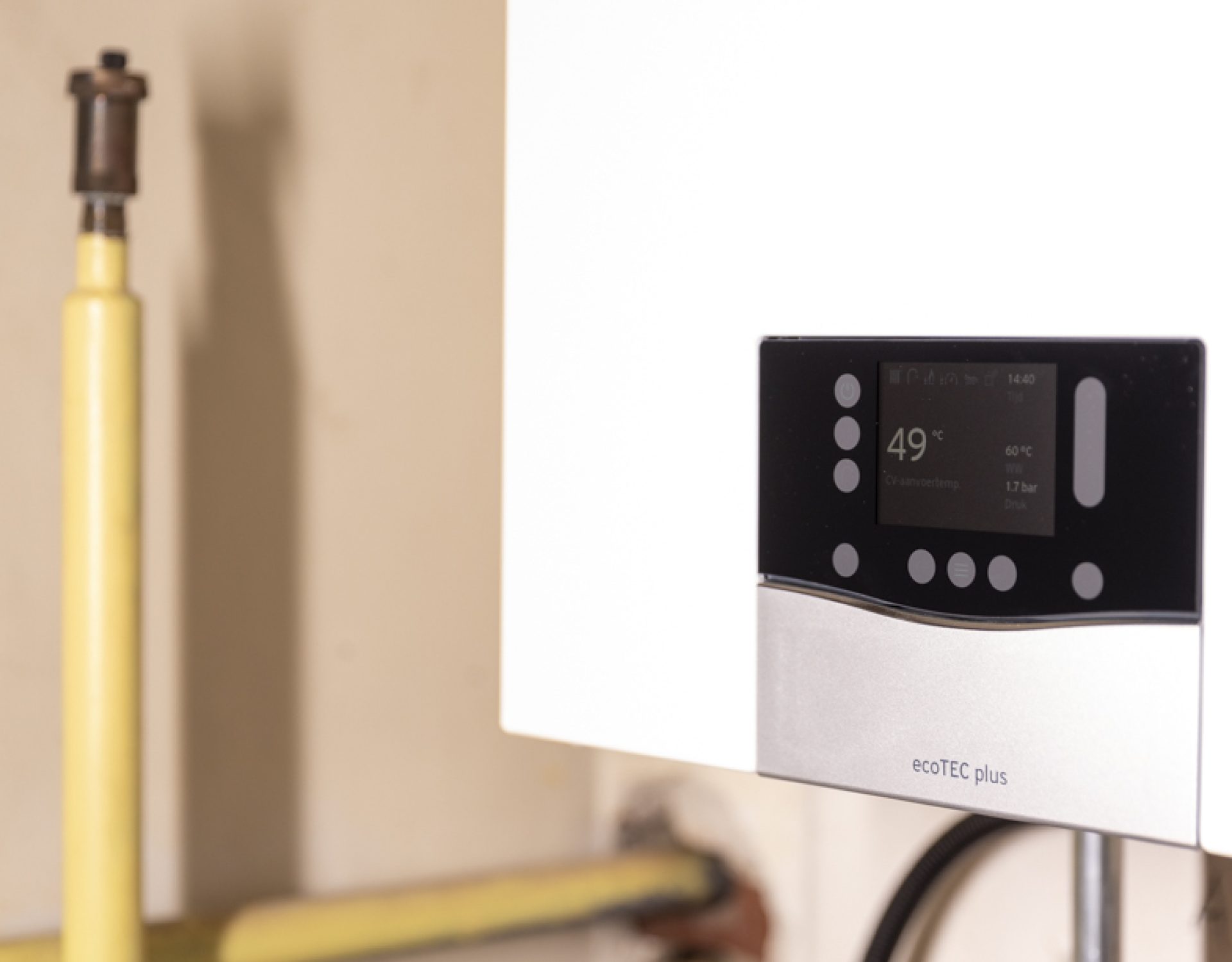 LowRes Ralph Dings-28