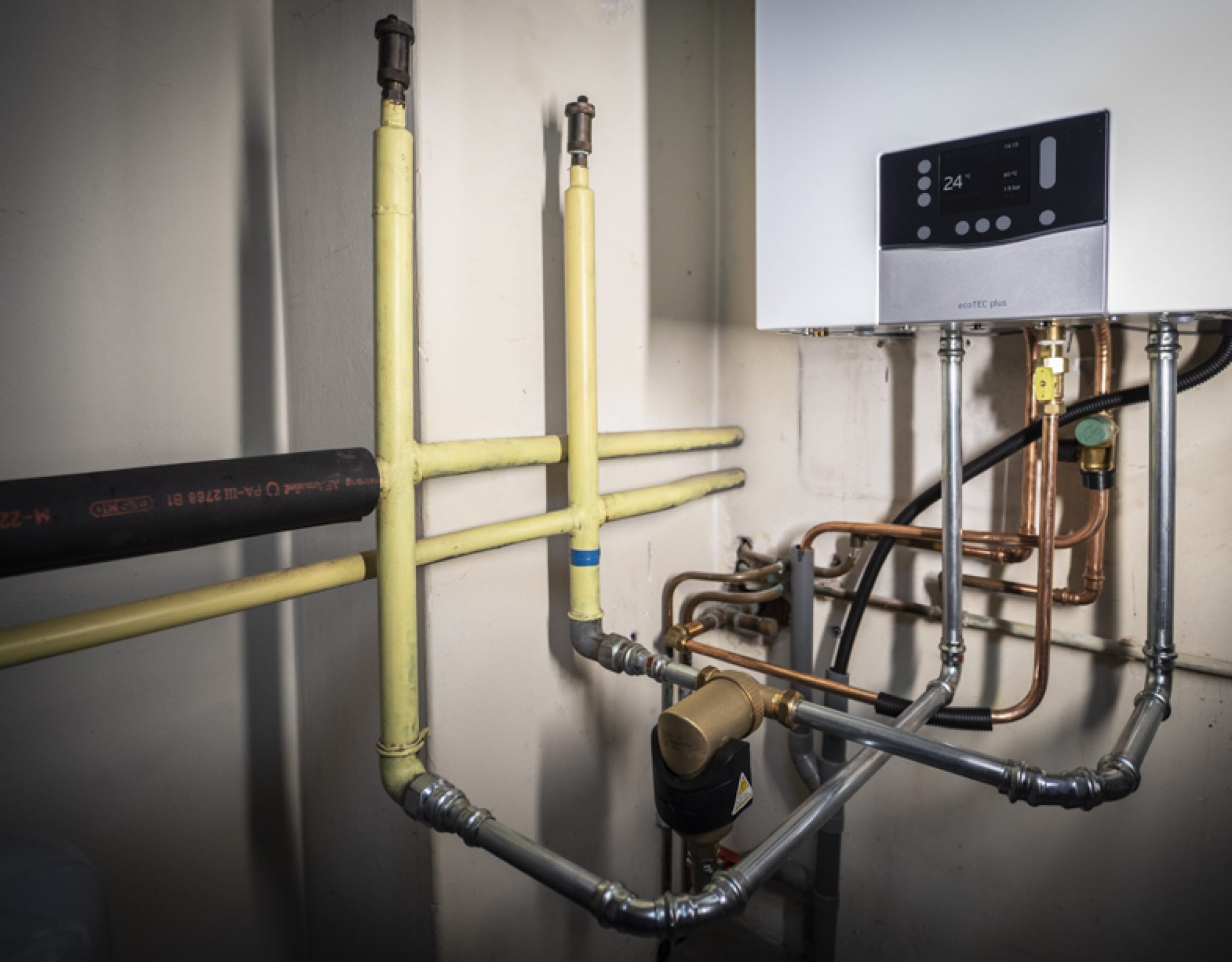 LowRes Ralph Dings-41