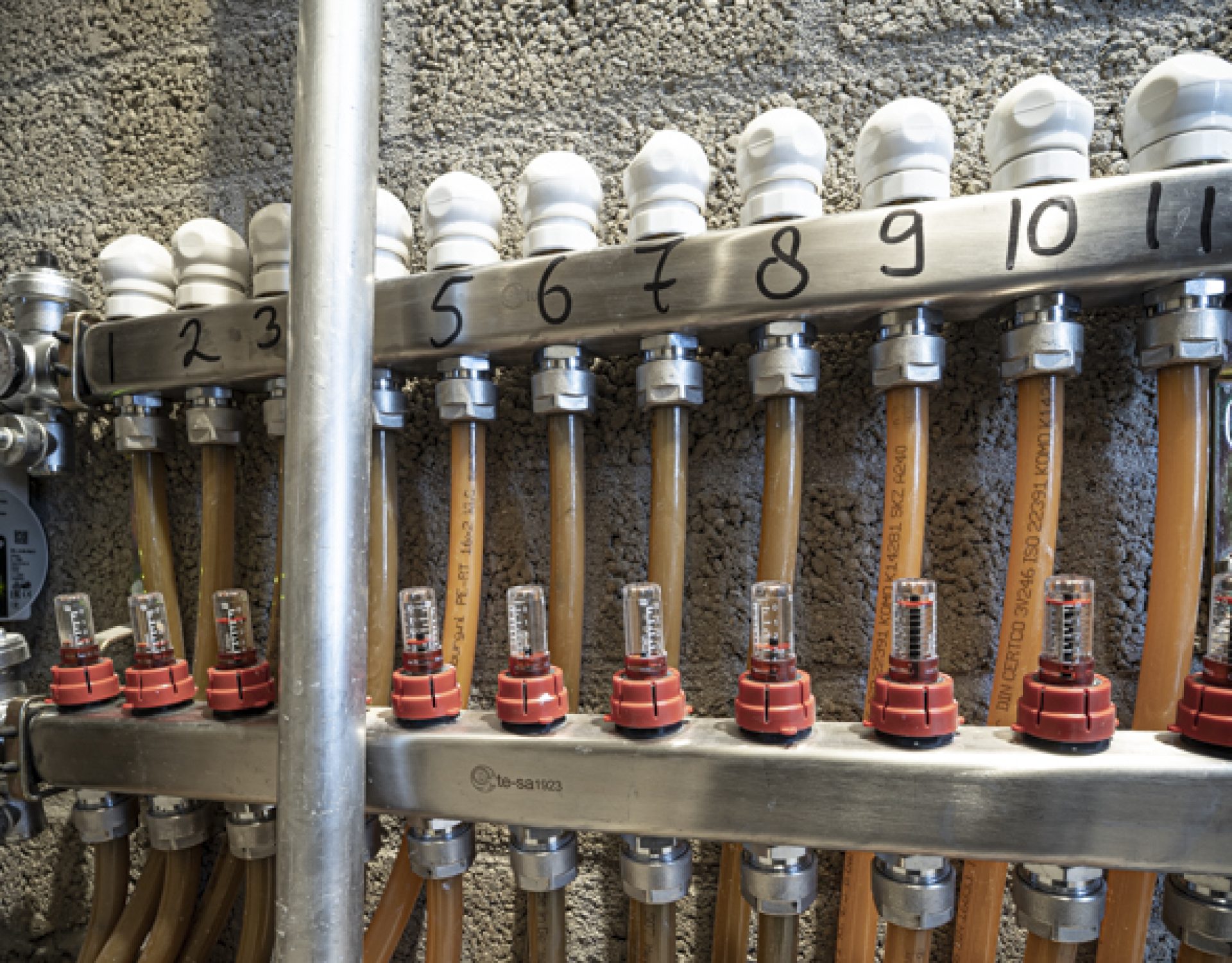 LowRes Ralph Dings-9